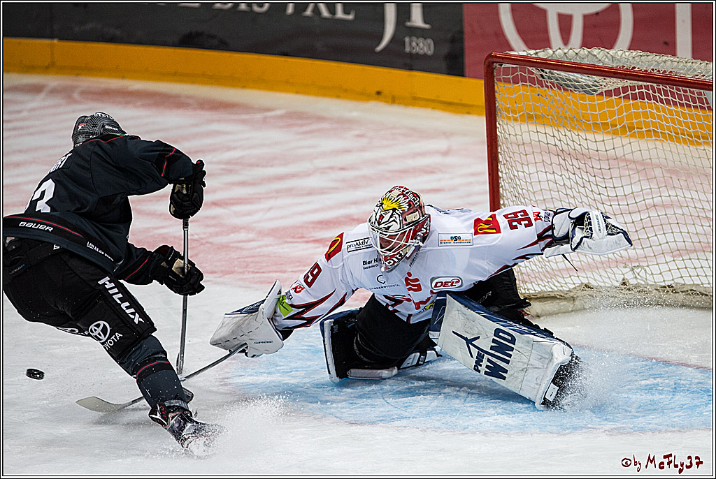 Koelner Haie - Pinguins Bremerhaven, 25.10.2016